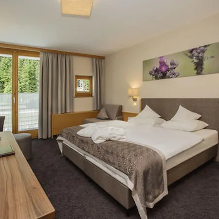 Vier Sport,- Und Wellnesshotel Hotel