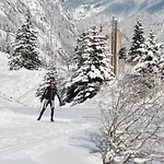 Vier Sport,- Und Wellnesshotel Отель